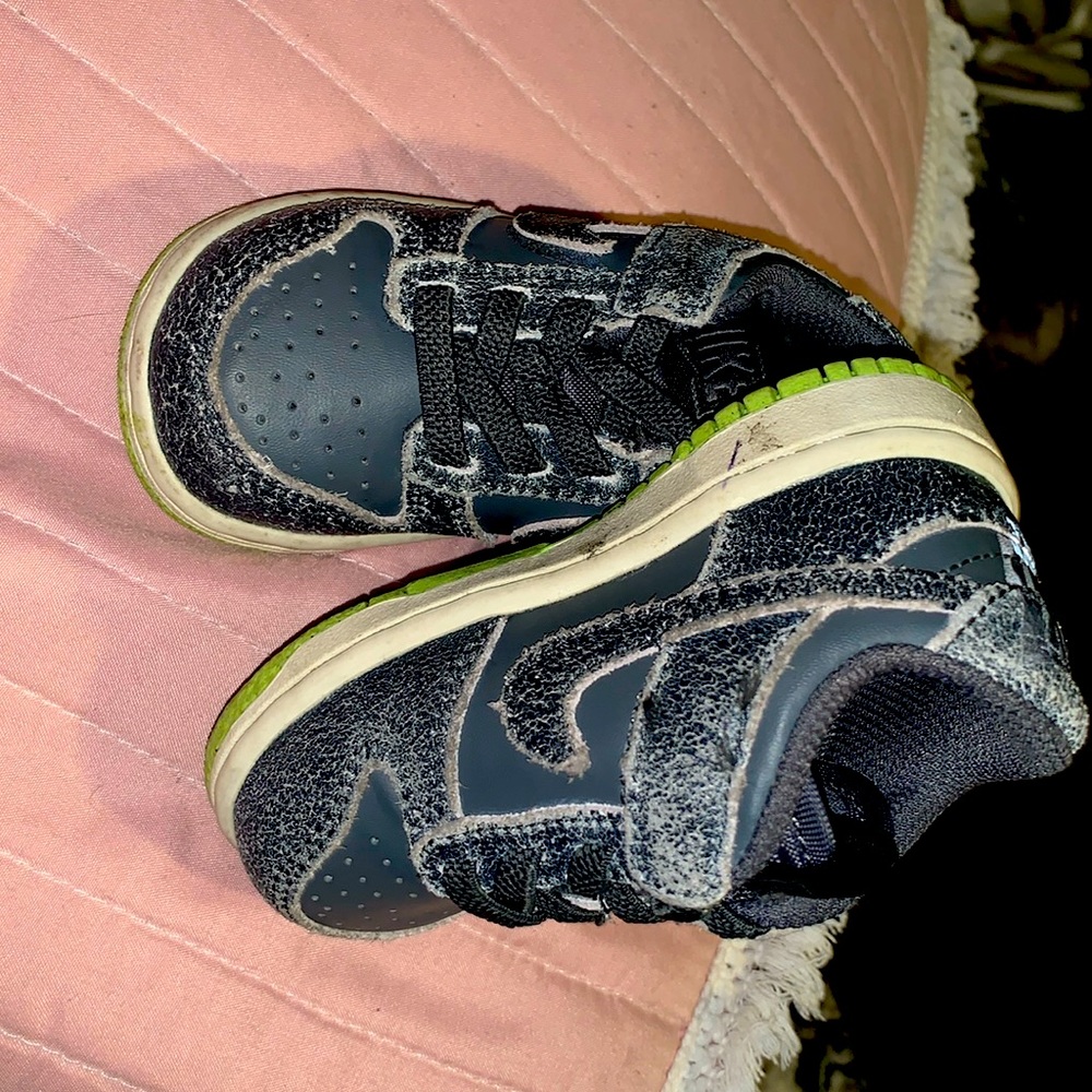 Nike Dunks